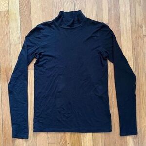 Everlane The Pima Stretch Turtleneck XS